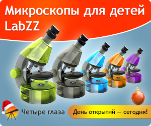 Микроскопы Levenhuk LabZZ – лучший новогодний подарок для ребенка!