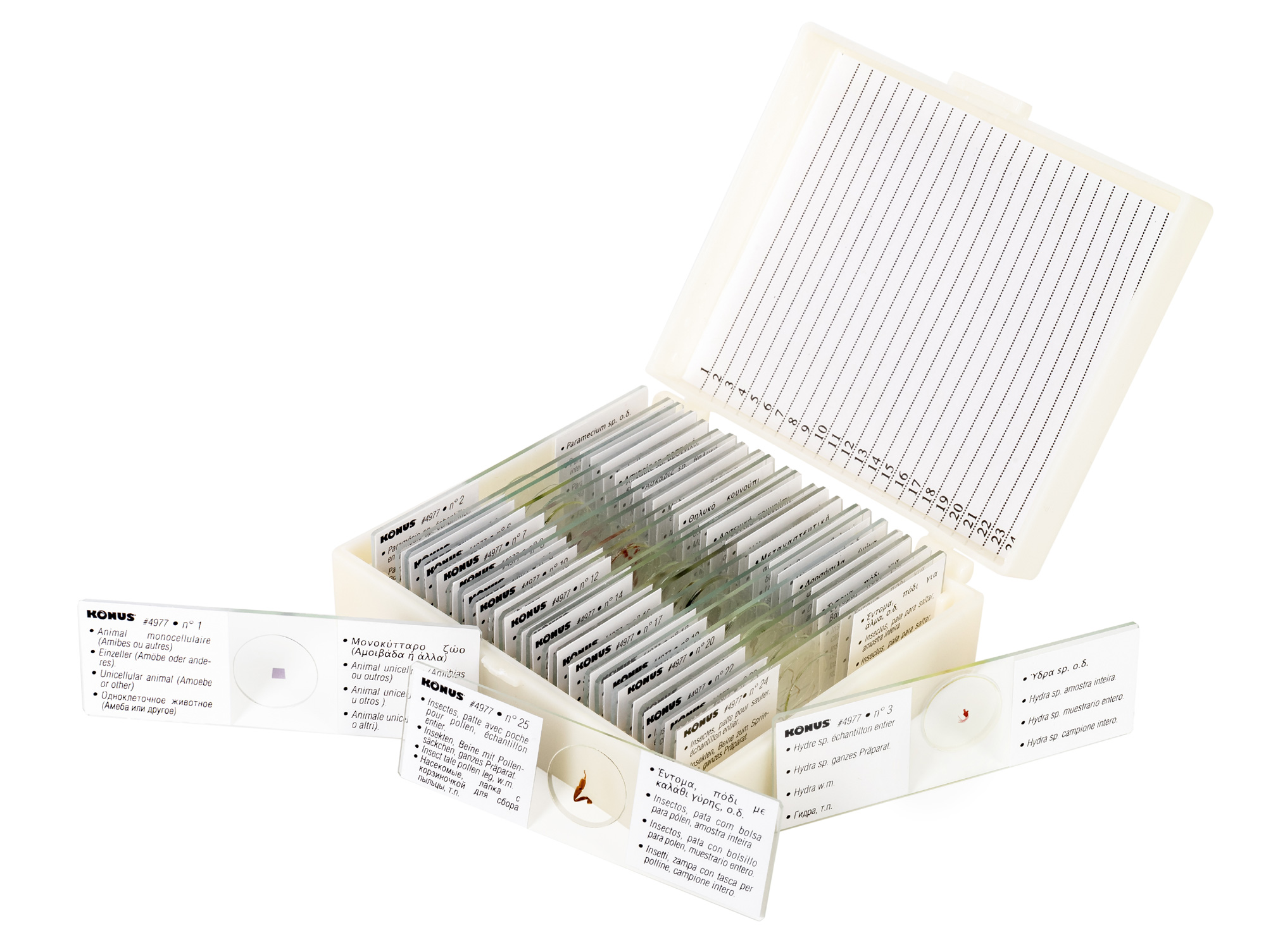 Набор микропрепаратов Konus 25: «Беспозвоночные и насекомые» 
Набор микропрепаратов Konus 25: «Беспозвоночные и насекомые»