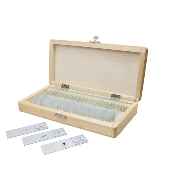 Набор микропрепаратов Celestron, 50 шт.