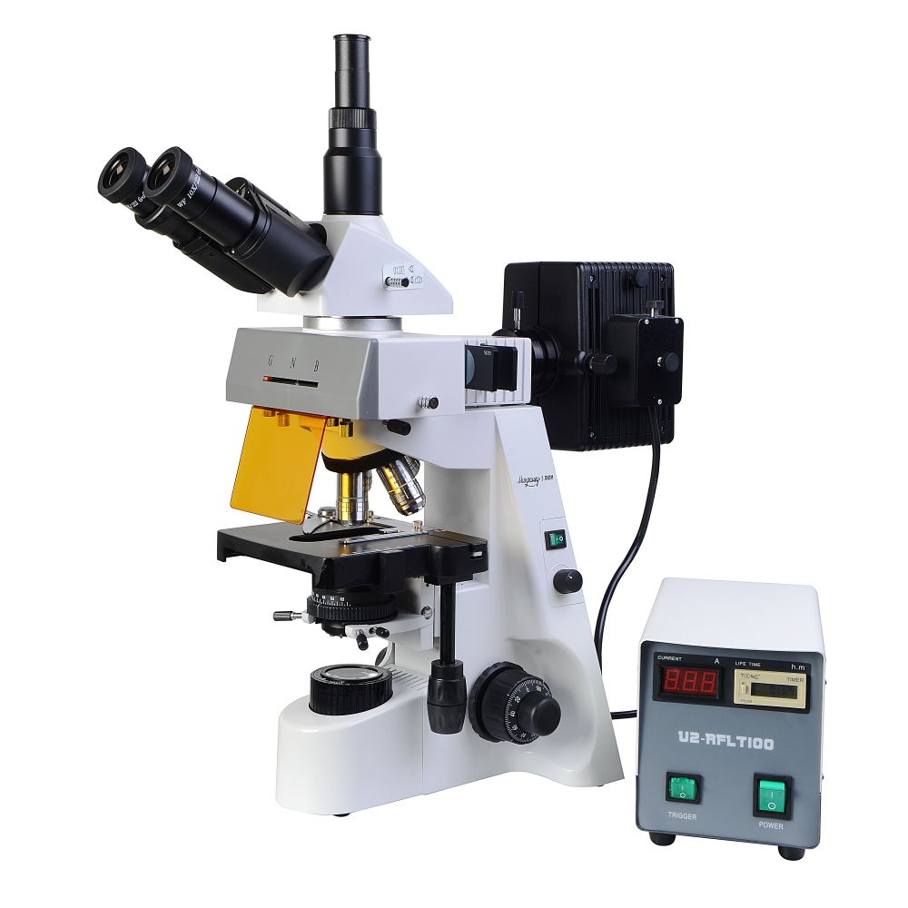 лазерный сканирующий микроскоп, конфокальный микроскоп, конфокальный лазерный микроскоп, сканирующий конфокальный микроскоп