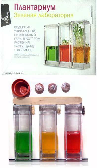 Плантариум «Зеленая лаборатория»