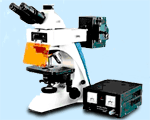 ������������� ��������� Levenhuk BioView 950 LUM