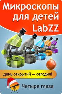 Микроскопы Levenhuk LabZZ – лучший новогодний подарок для ребенка!