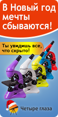 Микроскопы Levenhuk Rainbow – яркие подарки в магазине «Четыре глаза»!