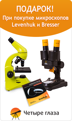 При покупке микроскопа Levenhuk или Bresser вас ждет подарок!