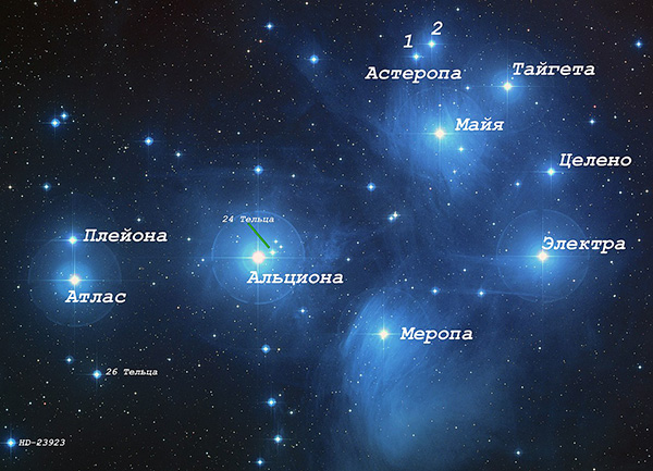 Звезда Альциона – главная звезда скопления Плеяды