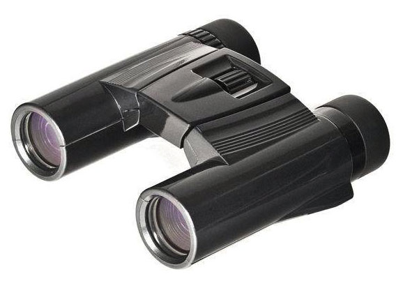 

Бинокль Kenko Ultra View 10х25 DH, черный