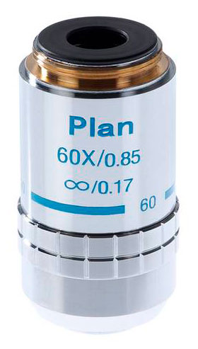 

Объектив 60х/0,85 Plan Л беск/0,17 для микроскопа Микромед-3 ЛЮМ