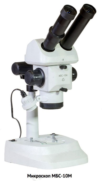 Микроскоп стереоскопический МБС-10М