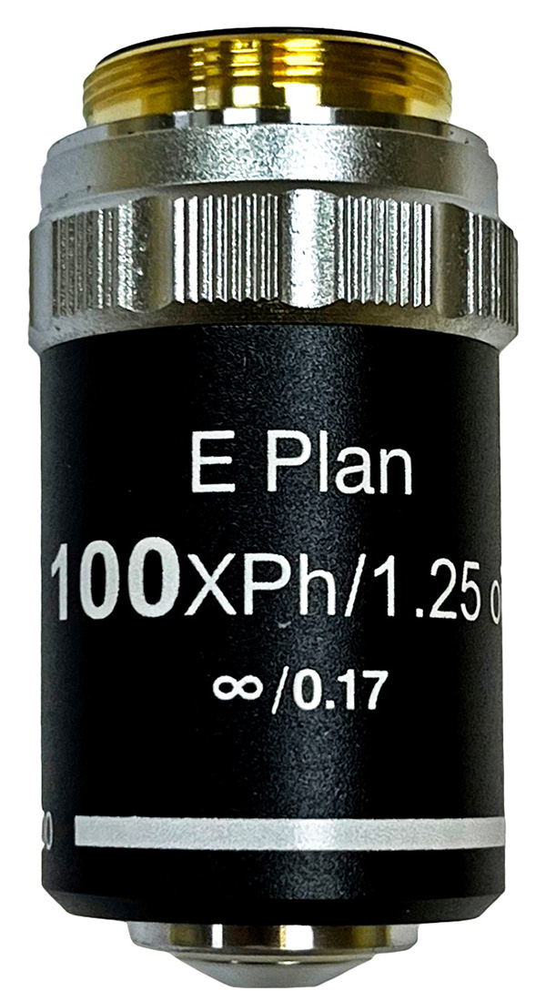 

Объектив фазовый планахроматический Levenhuk (Левенгук) 100x/1,25 Oil, беск/0,17