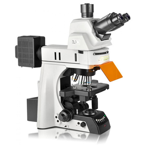 Микроскоп флуоресцентный прямой моторизованный Nexcope NE930-FL