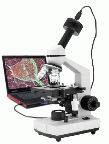 Цифровой микроскоп Levenhuk (Левенгук) D334 Digital