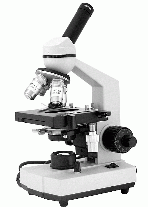 Биологический микроскоп Levenhuk (Левенгук) 334