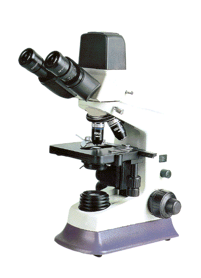 Цифровой микроскоп Levenhuk (Левенгук) DigitalView DM618-B2