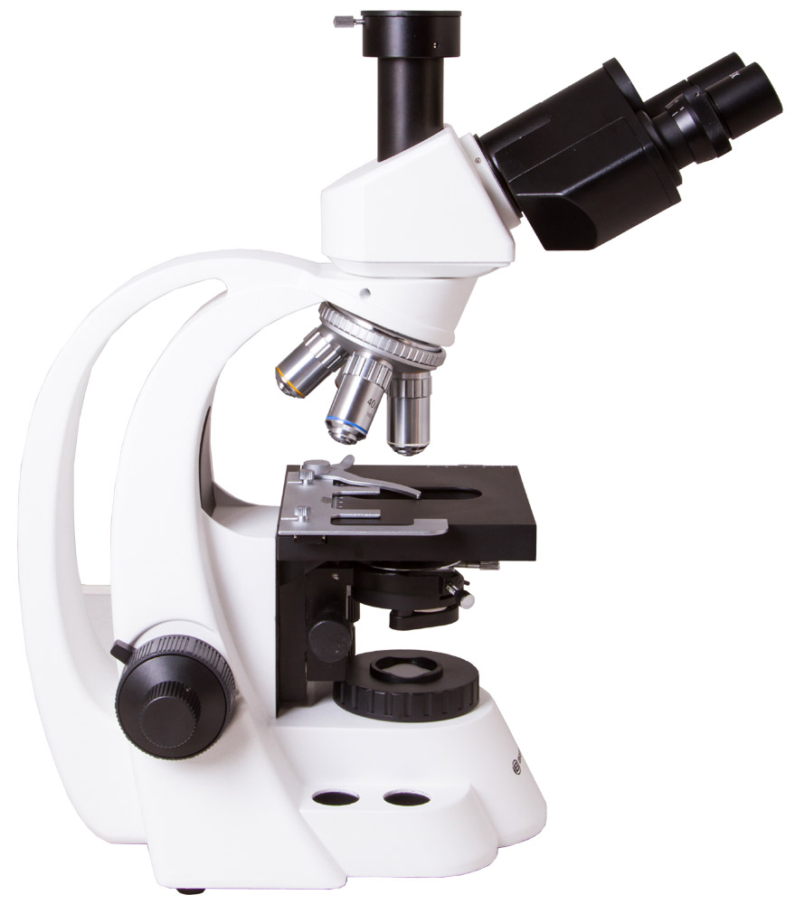 аскарида микроскоп, аскарида под микроскопом, яйца аскариды под микроскопом, аскариды под микроскопом фото, яйца аскарид под микроскопом фото