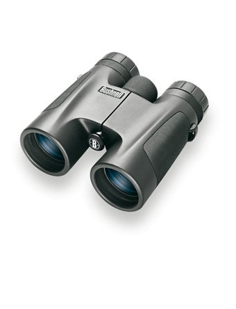 

Бинокль Bushnell PowerView Roof 8х32