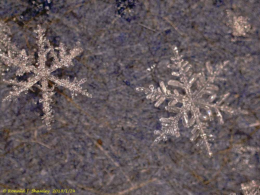 снежинка микроскоп, снежинка под микроскопом, снежинки под микроскопом фото