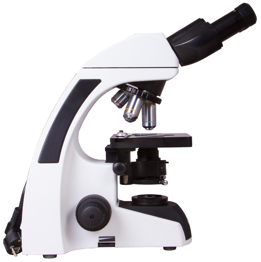 сканирующая микроскопия, сканирующая электронная микроскопия, метод сканирующей микроскопии, метод сканирующей электронной микроскопии, основы сканирующей зондовой микроскопии