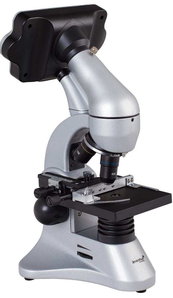 органоиды обнаруженные с помощью электронного микроскопа, какие органоиды обнаружены электронным микроскопом, какие органоиды обнаружены с помощью электронного микроскопа, органоиды видимые в световой микроскоп, какие органоиды можно увидеть в световой микроскоп