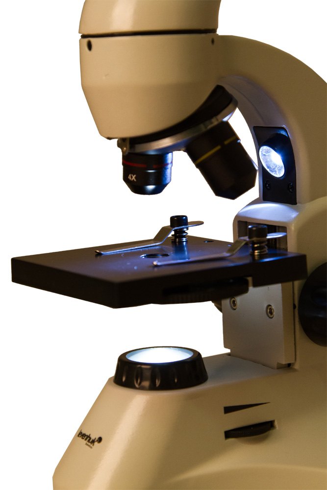 грибок ногтей микроскоп, грибок ногтей под микроскопом, грибок под микроскопом, грибок под микроскопом фото