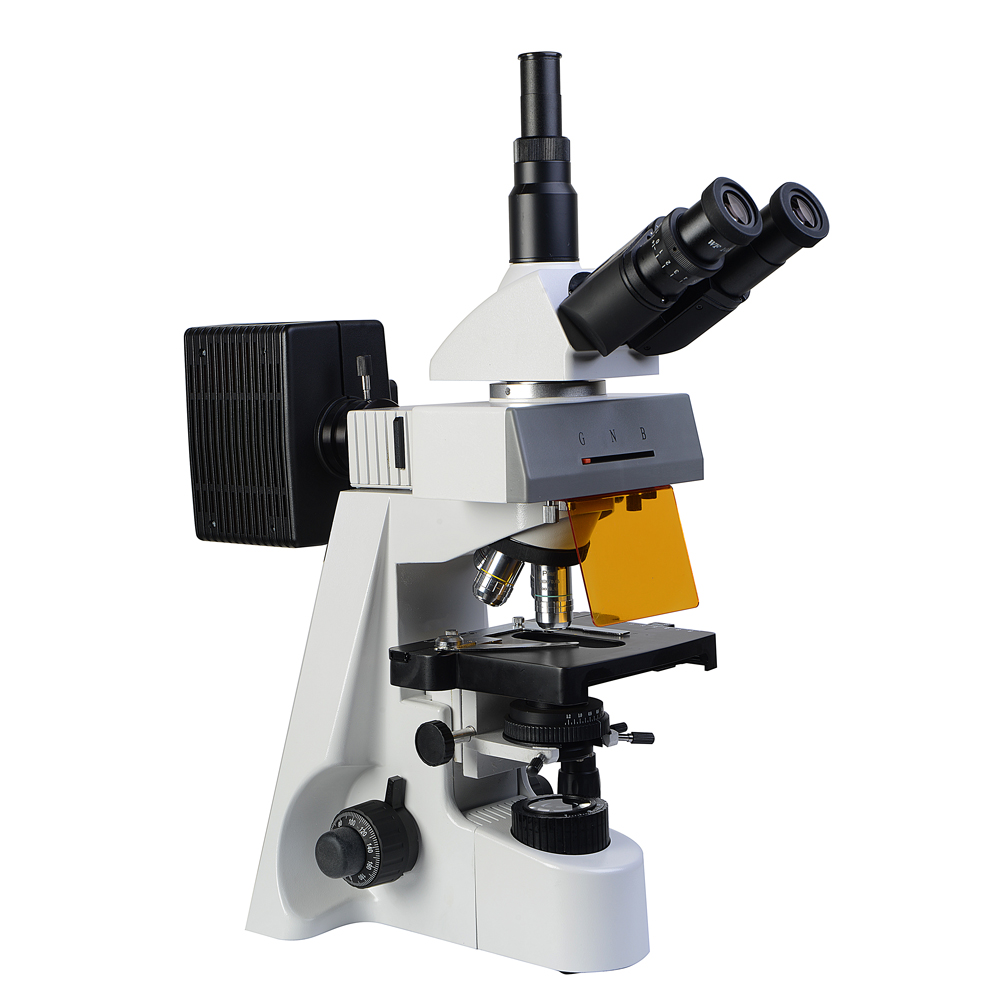 микроскоп люминесцентный цена, люминесцентный микроскоп, люминесцентный микроскоп устройство, люминесцентный микроскоп принцип работы