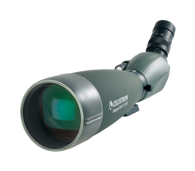 Зрительная труба Celestron Regal M2 100 ED