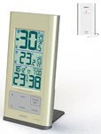 Термометр цифровой RST 02717 (IQ717) с беспроводным датчиком