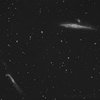 Галактики Кит и Хоккейная клюшка (NGC 4657, NGC 4656, NGC 4631, NGC 4627)